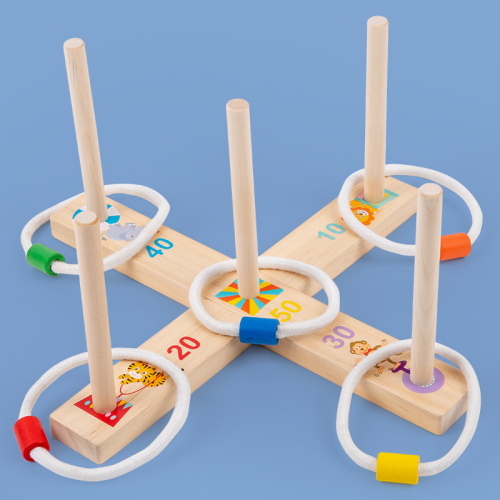 Game of dexterity and logical thinking "Funny Rings"