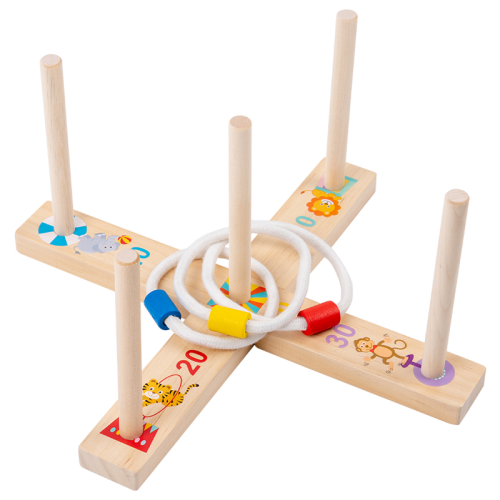 Game of dexterity and logical thinking "Funny Rings"