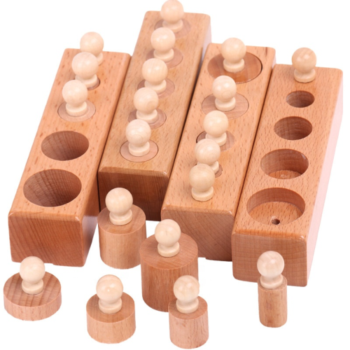 Montessori Wooden Cylinder Set Educational Toy