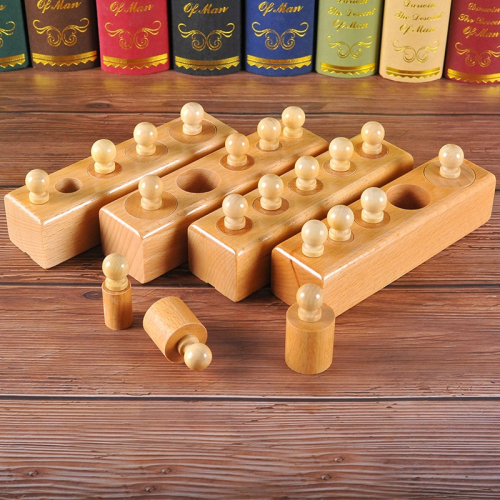 Montessori Wooden Cylinder Set Educational Toy
