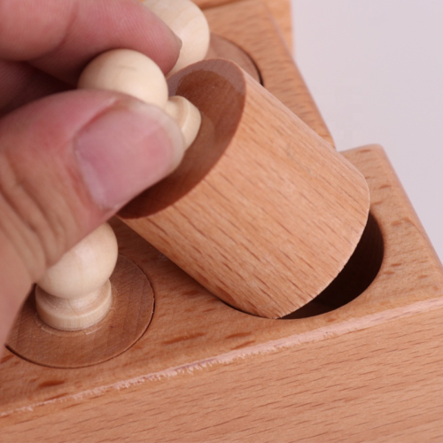 Montessori Wooden Cylinder Set Educational Toy