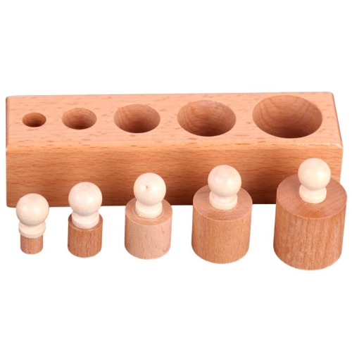 Montessori Wooden Cylinder Set Educational Toy