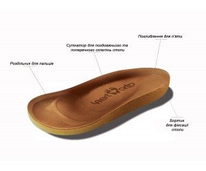 Schematic representation of a cork insole 4Rest-Orto