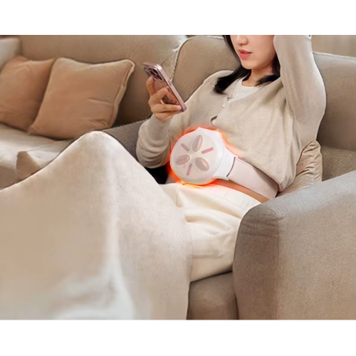 Gua Sha Electric Massager with Heating and Oval Bian Stones