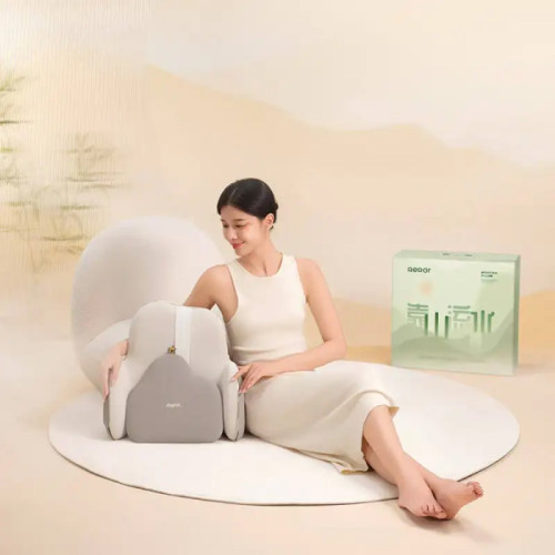 Shiatsu Back Massage Cushion with Heating Function