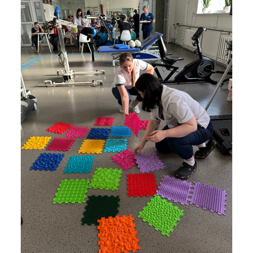 Massage mat for rehabilitation “Ortek Mix” 20 elements Hard