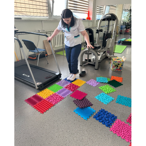 Massage mat for rehabilitation “Ortek Mix” 20 elements Hard