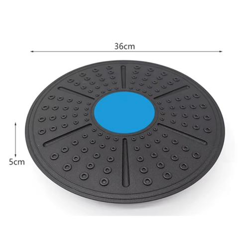 Balance Board for Vestibular and Core Muscle Training