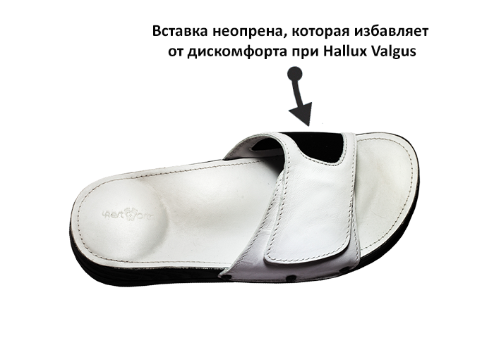Без имени-1